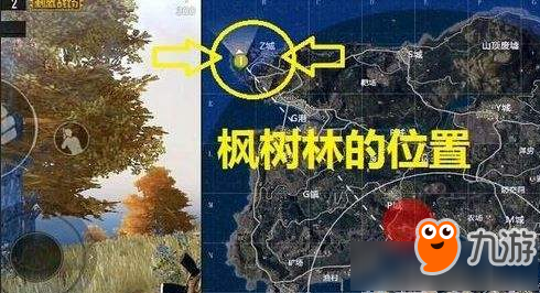 和平精英透视辅助《绝地求生和平精英》海岛地图野餐点在哪 海岛野餐聚点位置坐标一览